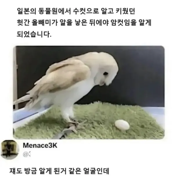 1425456920 f4b899bb 600x635