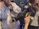 Dj doc 이하늘이 오픈한 곱창집 근황.jpg