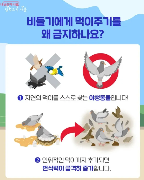 1432233008 6695bc19 600x751