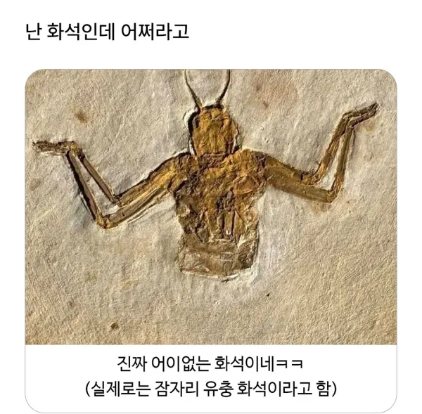 1438570274 6a597552 600x589
