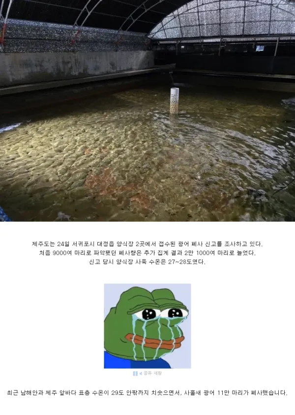 1448293636 3ea7fdf7 600x842
