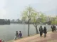벚꽃 구경하러 일본왔다