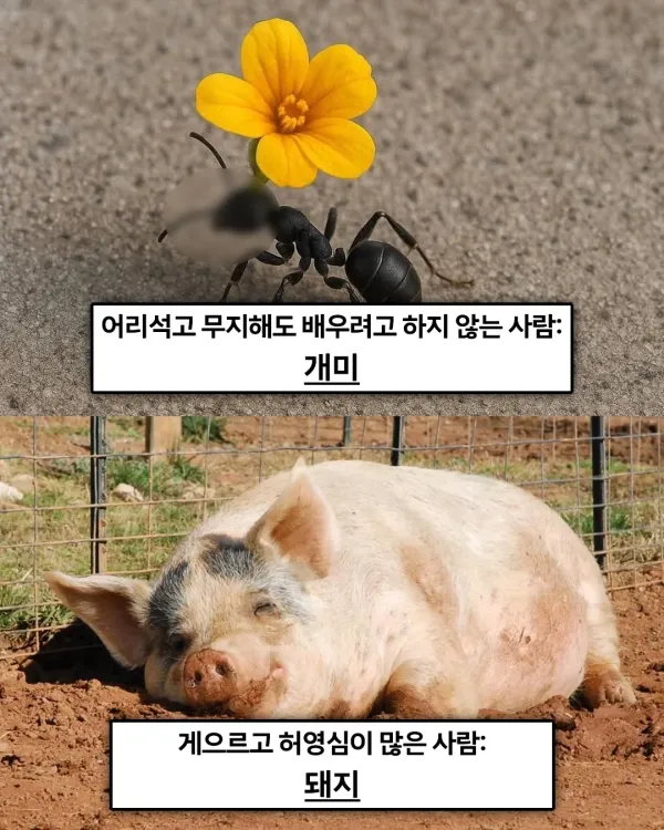 1501225664 1f3ecbb8 600x750