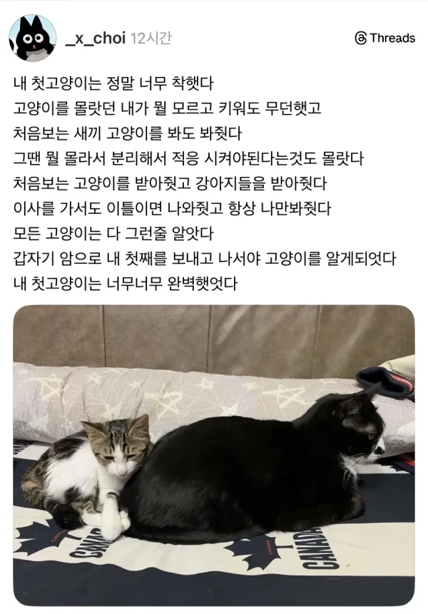 1502429355 18084e09 600x861