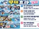 부산 상어 효과정리