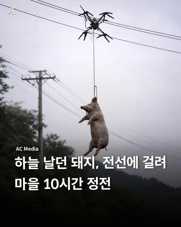 1508002508 3cad06a4 600x750