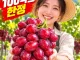아무리 ai 시대 라지만 이건 좀