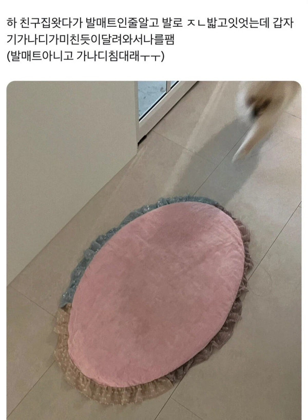 1517173256 d61869a3 600x819