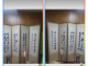 바벨탑의 순기능