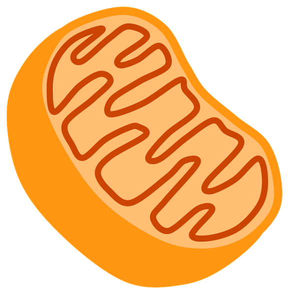 1530585550 7e3fe64b 600x590