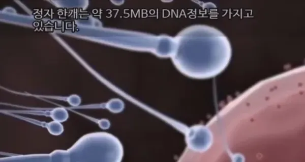 1531132382 dc738549 600x318
