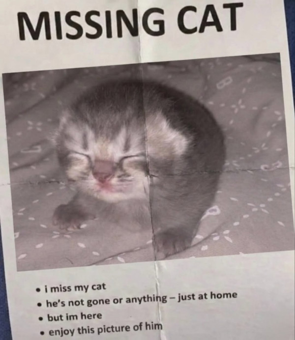 1536254051 85035dc7 600x692
