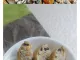 치치, 아냐가 유부초밥 만들었어