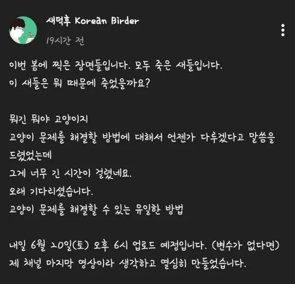 1600587931 8794c373 600x578