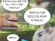 영국과 독일중 어느나라가 더 젊은 나라일까요~?