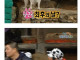 불편충 없던 시절 1박2일 드립 수준