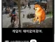 붉은 사막이 재미없다는 유튜버