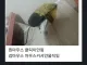 현대의 수난이대