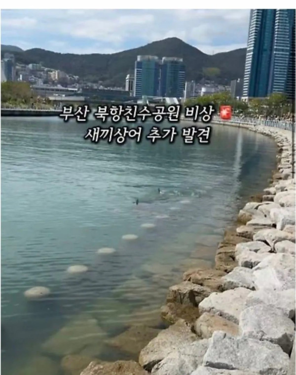 1610284503 43470471 600x761