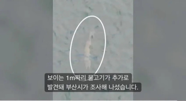 1610288918 86124792 600x327