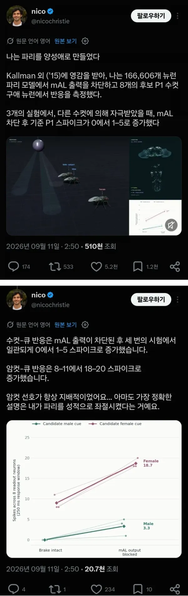 1614035882 13165f76 600x1895