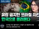 NEWS) ?? 브라질 치킨, 한국으로 몰려온다 ?