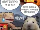 신라면은 있는데 고구려면 백제면은 없는 이유