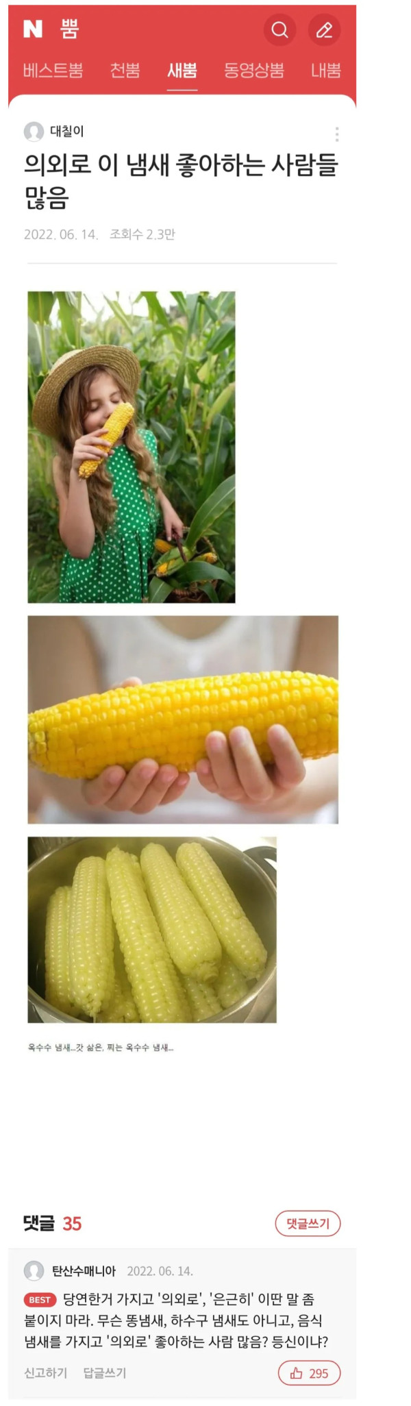 1642395736 912e5b7e 600x2052