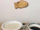 실패한 투자자의 점심