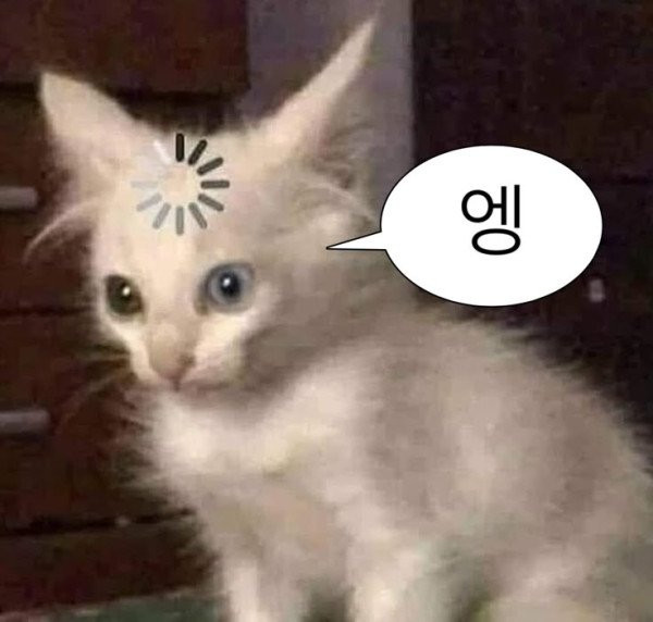 1655093566 3b2ac45c 600x572