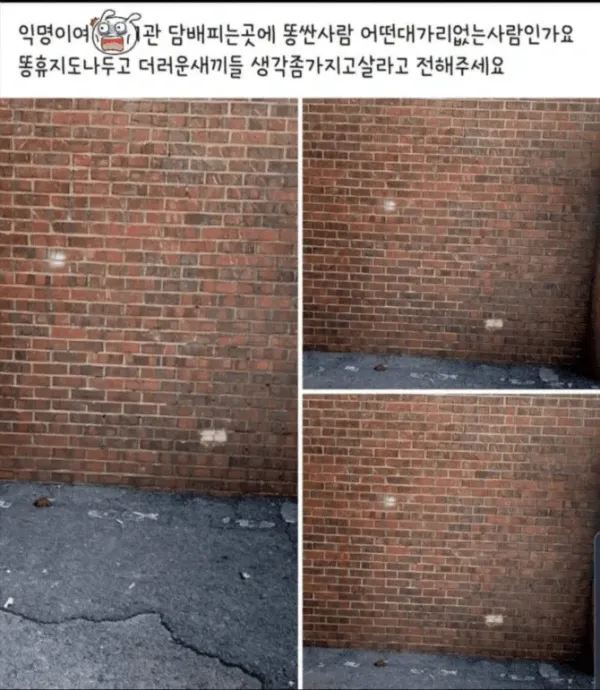 1700191418 b143084e 600x690