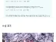 아니 시발.. 재미는 잇는데 개이짓좀 안하면 안되나