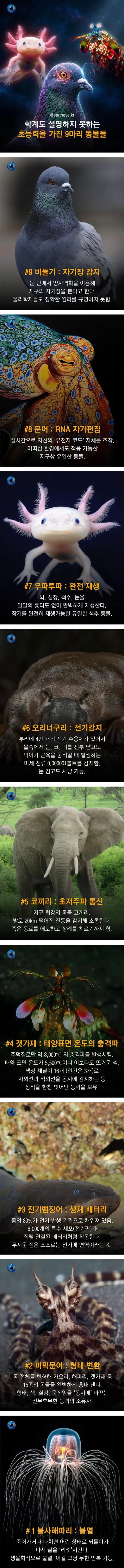 1705304566 89d50095 600x7578