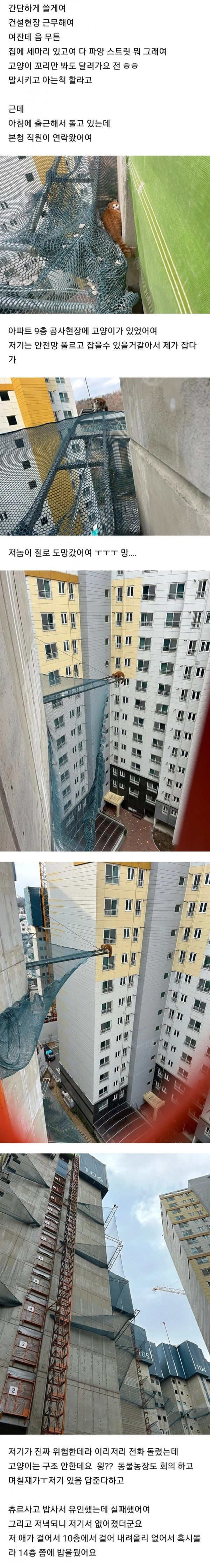 1706429479 6cb24af1 600x4470