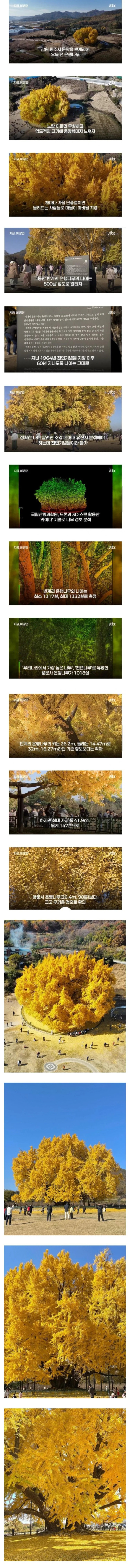 1712495083 fd05c670 600x7202