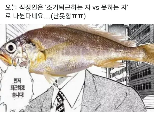 1719411786 503b2d09 600x443