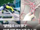'빨랫줄로 쓰려 했다' 30층 안전 로프 자른 노인