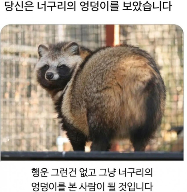 1722565564 3b31227c 600x617