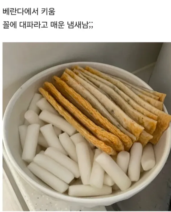 1729454535 9400e9b0 600x742