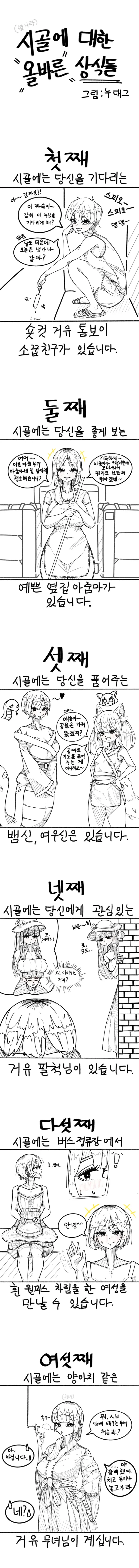 1731108282 40af65e2 600x6741