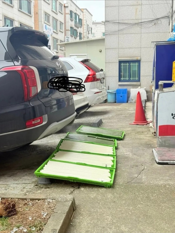1736048267 a9ca1181 600x799