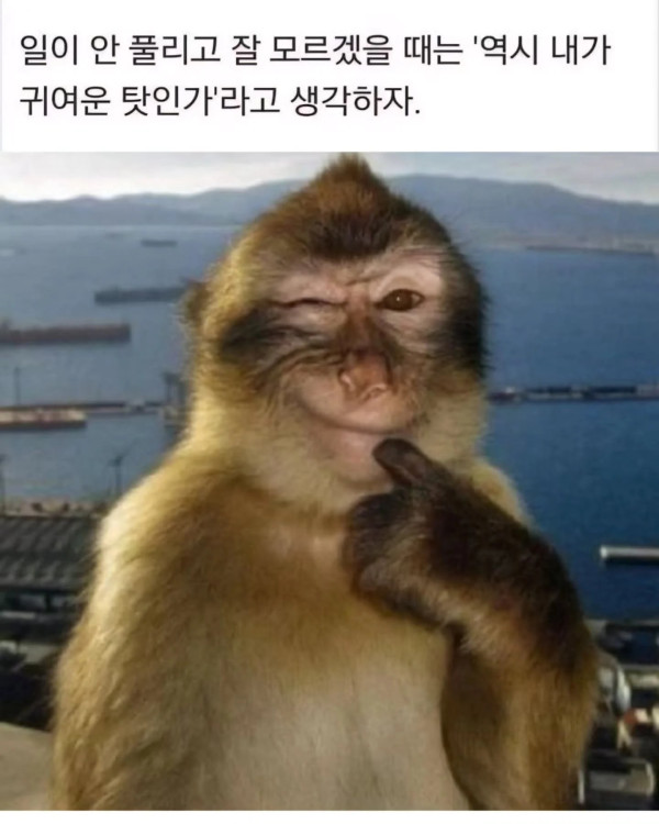 1739075112 26ac19b1 600x750