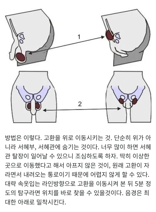 1743239776 d46901d5 600x813