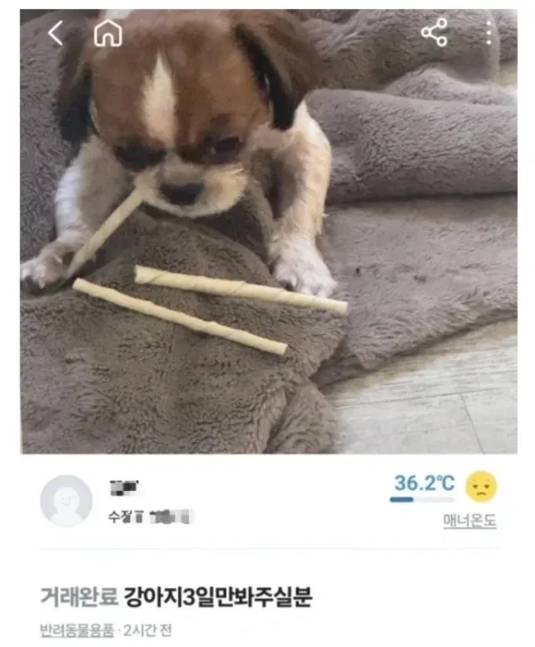 1743369829 d6d7058e 600x726