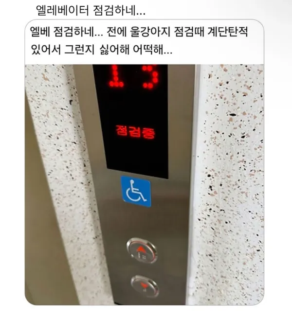 1744528208 381a8cc4 600x656