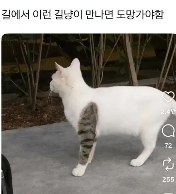 1745552705 225754e4 600x661