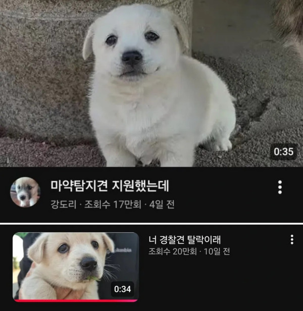 1748084998 23206ee3 600x616