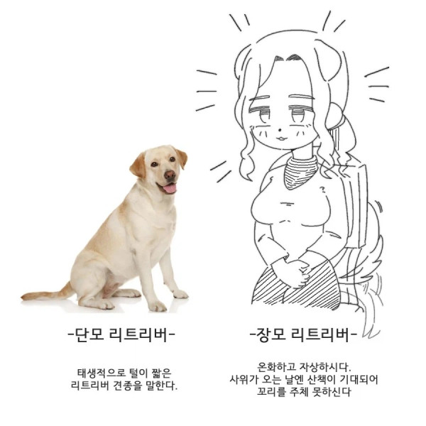 1748112859 31a55d0a 600x600