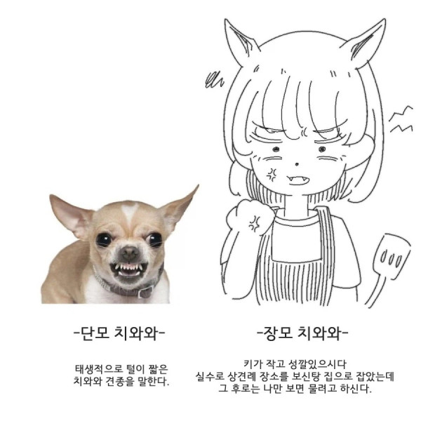 1748116432 4880c5c1 600x600