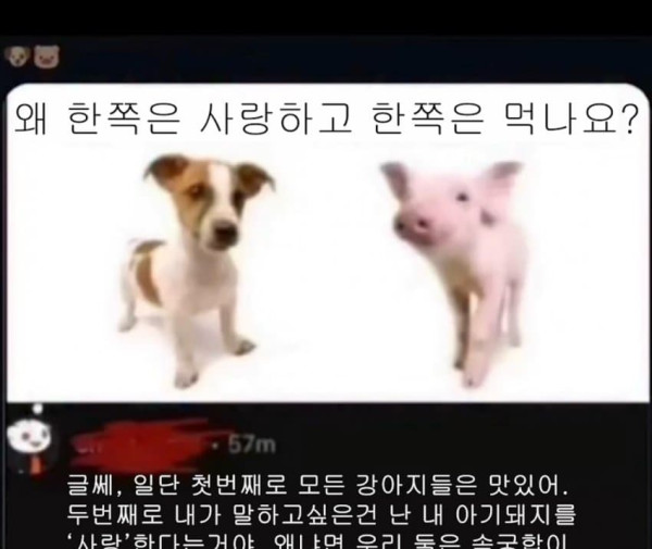 1752564200 005c3c19 600x505